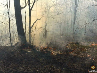 Під час ліквідації пожеж на Тернопільщині врятували 12 будівель та 55 га лісонасаджень