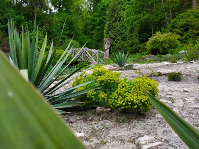Повідомили, які зони ботанічного саду на Тернопільщині доступні для відвідувачів