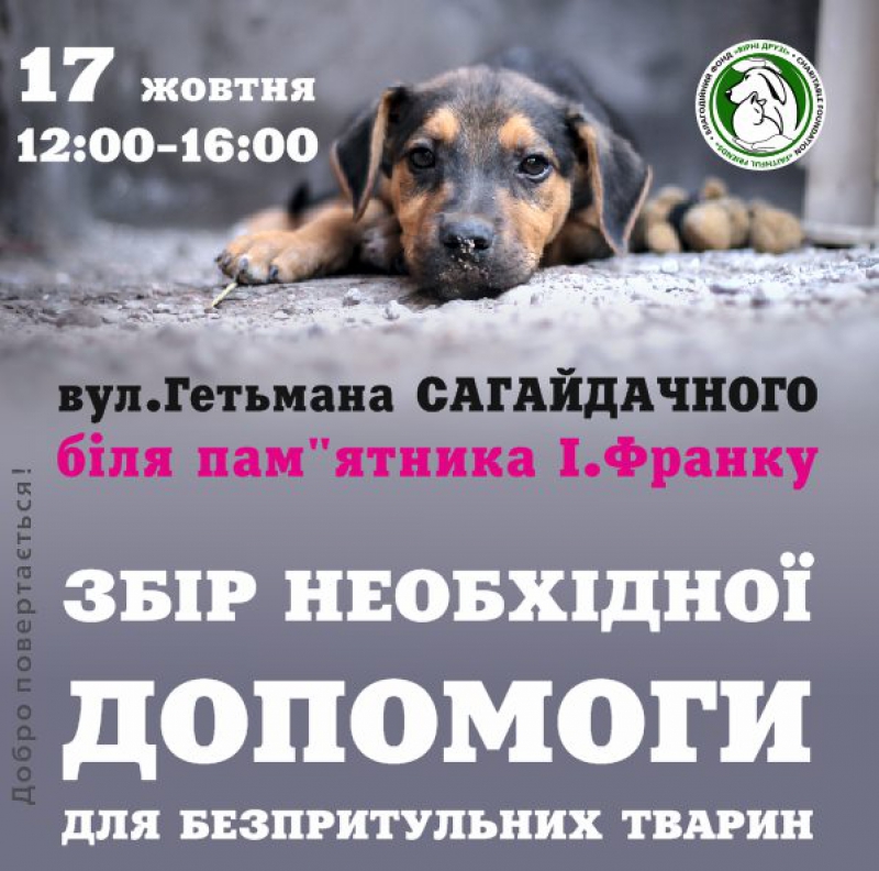 Тернополяни мають нагоду допомогти безпритульним тваринам