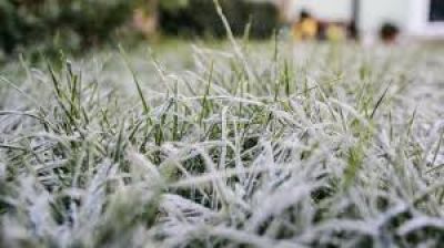 Мешканців Тернопільщини знову попереджають про заморозки