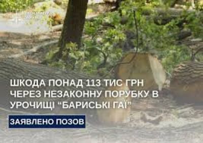 На Тернопільщині прокурори вимагають у суді відшкодування шкоди, заподіяної внаслідок незаконної порубки у лісовому урочищі «Бариські Гаї»