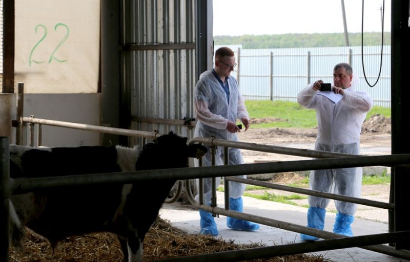 У Бучачі фермери зі всієї України обмінялись досвідом ефективного ведення молочного тваринництва (фоторепортаж)