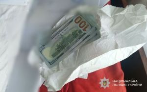 На Лановеччині жінка прихистила дівчину, а після її відходу не дорахувалася грошей