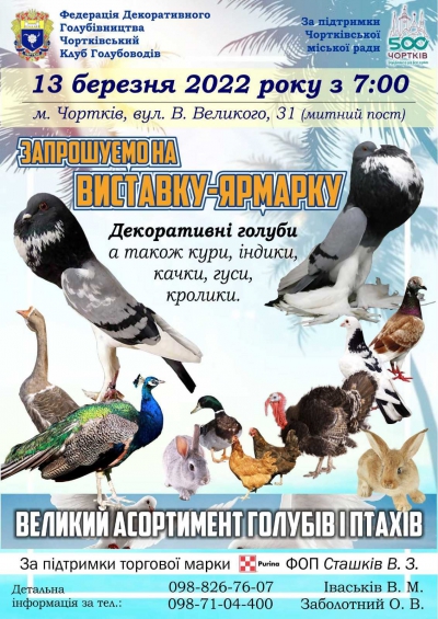 На Тернопільщині невдовзі відкриють виставку декоративних голубів