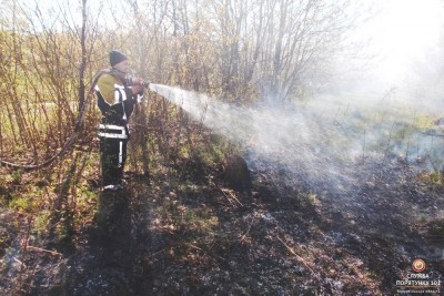 На Тернопільщині палають гектари сухої трави