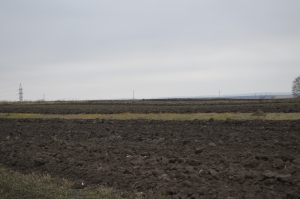 На Тернопільщині підприємець незаконно захопив земельні ділянки, площею понад 80 га