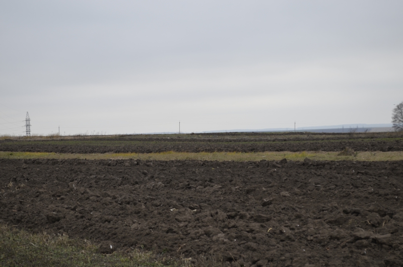 На Тернопільщині підприємець незаконно захопив земельні ділянки, площею понад 80 га