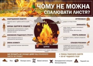 За спалювання сухого листя у Тернополі каратимуть чималими штрафами
