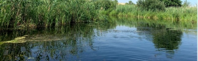 Колишнього мера одного із райцентрів на Тернопільщині підозрюють у безгосподарному використанні земель біля річки