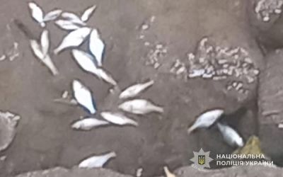 За фактом загибелі риби на Тернопільщині розпочали кримінальне провадження