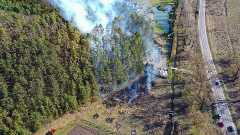 Як неподалік Тернополя рятували від пожежі ліс?