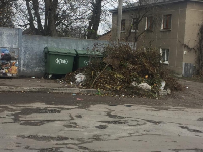 У місті на Тернопільщині - купи сміття та зграї агресивних собак