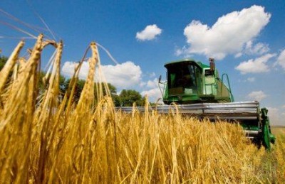 Пожежа на Тернопільщині ледь не знищила урожай пшениці