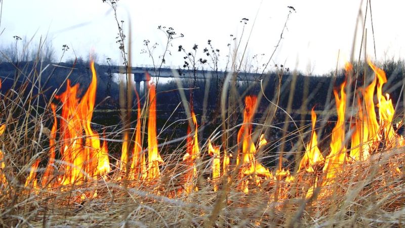 Рятувальники Тернопільщини ліквідували пожежі через самовільне випалювання сухостою