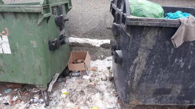 У місті на Тернопільщині цуценят залишили гинути на смітнику (фото)