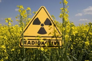 Чи є порушення ядерної та радіаційної безпеки на Тернопільщині?