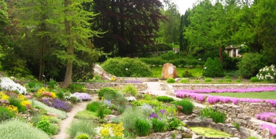 У ботанічному саду на Тернопільщині викрали рідкісні рослини