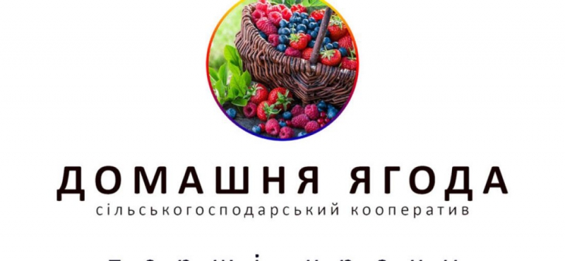 «Домашня ягода»: унікальний кооператив на Бучаччині вже може похвалитися першими здобутками (відео)