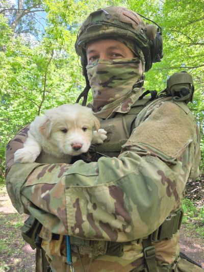 Чотирилапі «антидепресанти» допомагають захисникам боротися за мир