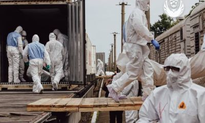 Чергова репатріація: в Україну вдалося повернути 1000 тіл