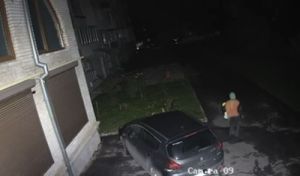 Користь від камер спостереження за програмою «Безпечний двір» у тернопільських дворах: виявили вандалку, яка пошкоджувала автомобілі