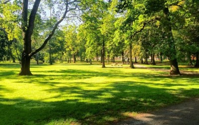 У Тернополі з&#039;явиться ще один парк