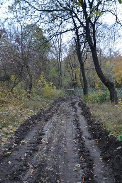 У Тернополі замість багнюки зроблять доріжку (ФОТО)