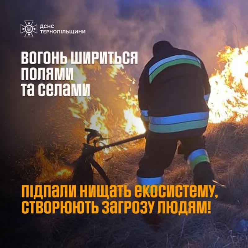 На Тернопільщині рятувальники за добу ліквідували 11 пожеж сухої трави в природних екосистемах