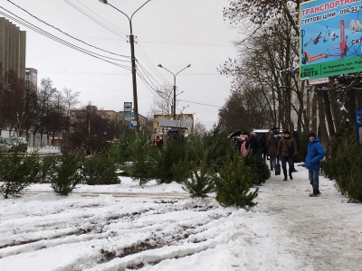 Тернополяни перевіряють легальність ялинок, які купують