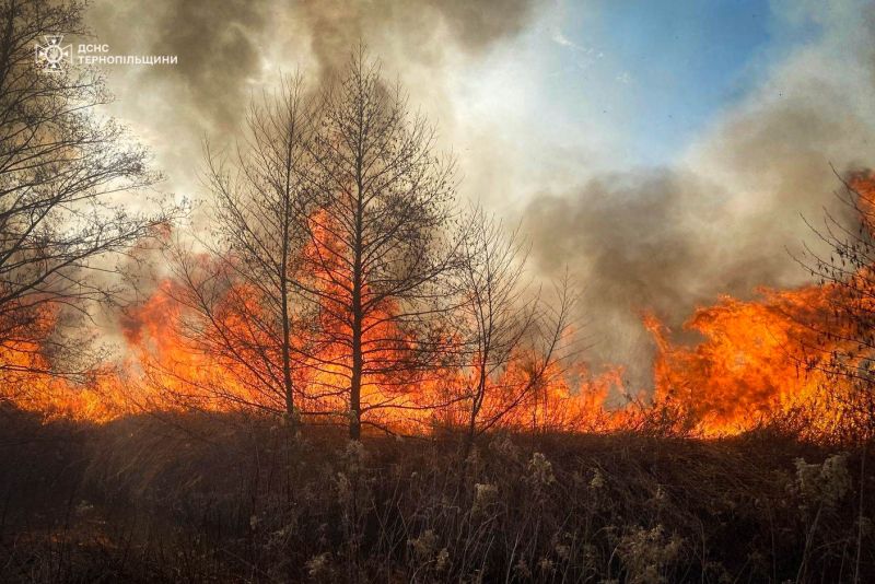 На Тернопільщині рятувальники ліквідували 65 пожеж