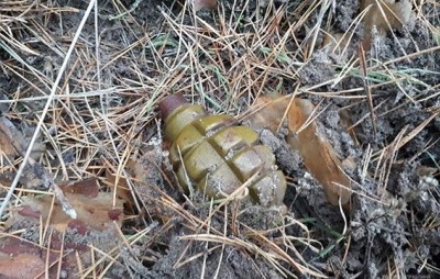 На Тернопільщині під час збирання грибів чоловік натрапив на гранату