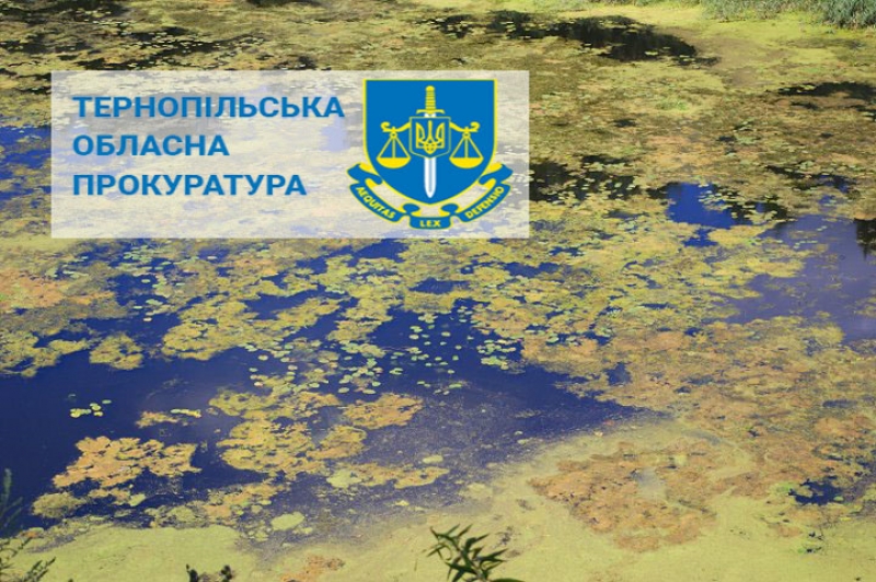 На Тернопільщині комунальне підприємство сплатить понад 960 000 грн через забруднення річки