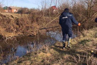 У річці на Тернопільщині знайшли тіла двох чоловіків