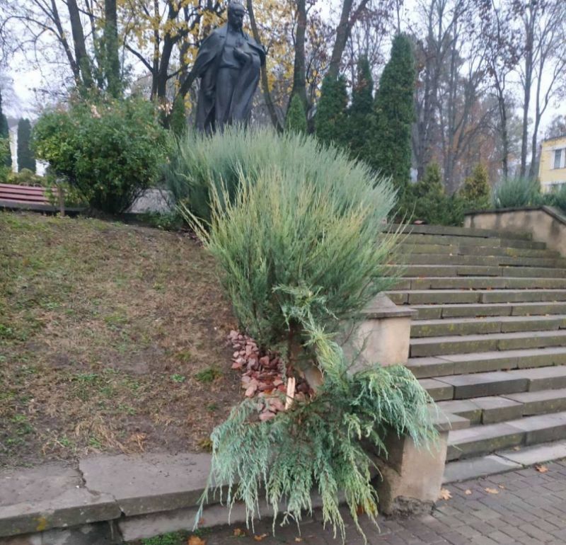 У центрі міста на Тернопільщині вандали понищили зелені насадження (фото)