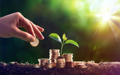 Підприємства Тернопільщини сплатили до бюджетів усіх рівнів майже 19,6 млн грн екоподатку