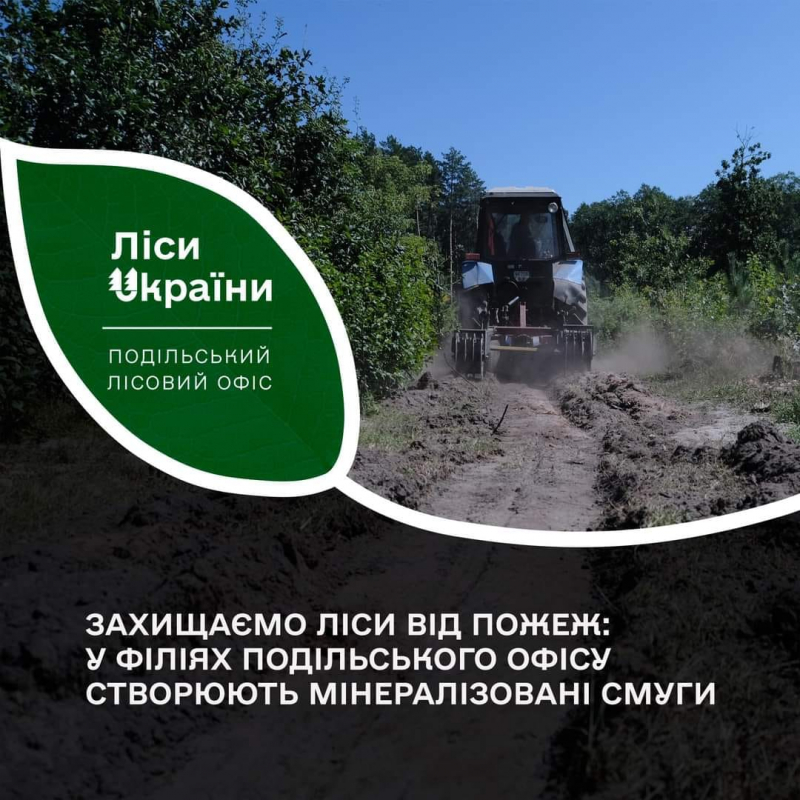 На Тернопільщині створюють мінералізовані смуги, аби вберегти ліси від пожеж