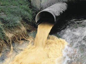 Підприємство на Тернопільщині забруднювало річку своїми стічними водами