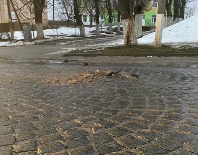 «Проліски» уже не ті: у місті на Тернопільщині дорога стала небезпечною для водіїв (фотофакт)