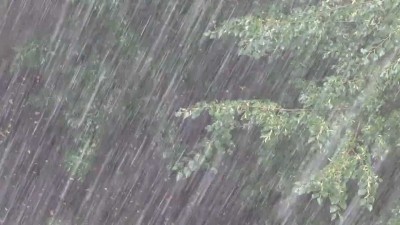 Сильні зливи і грози наробили шкоди у Борщівському районі, що на Тернопільщині