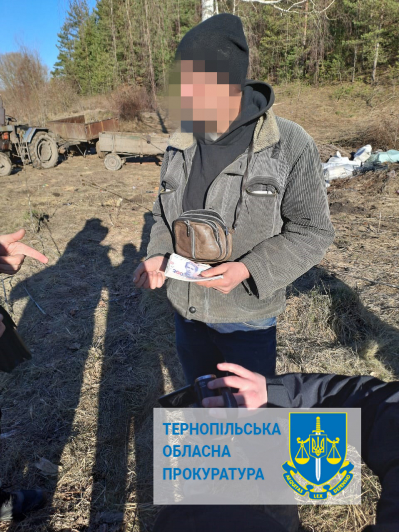 На Тернопільщині судитимуть лісника, який отримав хабар за реалізацію лісопродукції
