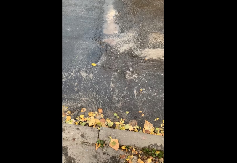 На одній з вулиць Тернополя з-під асфальту тече вода (відео)