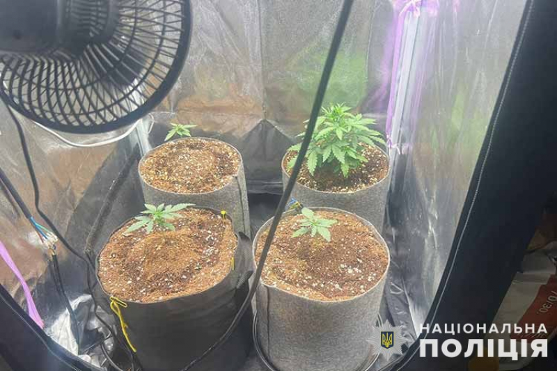 На Тернопільщини викрили двох молодиків за підозрою у наркоторгівлі
