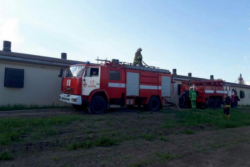 На Тернопільщині горіла птахоферма