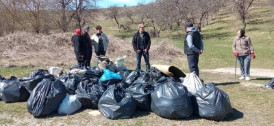 У місті на Тернопільщині провели толоку (фото)