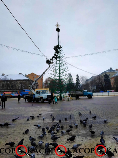 Тернопільську головну зимову «красуню» вже одягають у гіллясті шати (фотофакт)