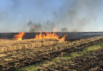 За спалювання сухої трави на Тернопільщині порушникам &quot;світить&quot; до 15 років тюрми