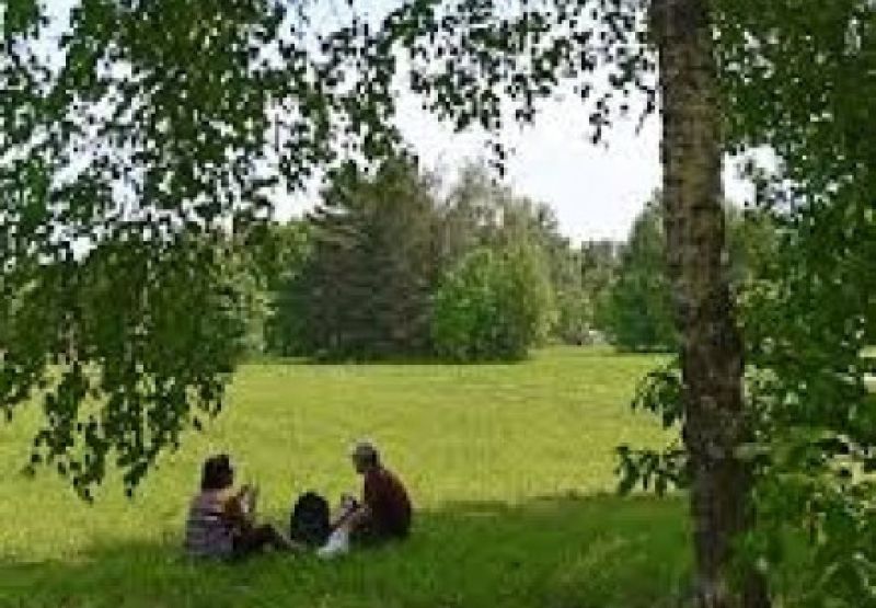 Відпочивай на природі без шкоди для довкілля: поради екологів