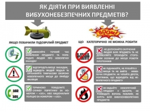 Піротехніки Тернопільщини знешкодили артснаряд та ручну гранату