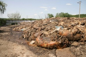 Стихійне звалище відходів тваринного походження, що неподалік Тернополя, ліквідують за два мільйони